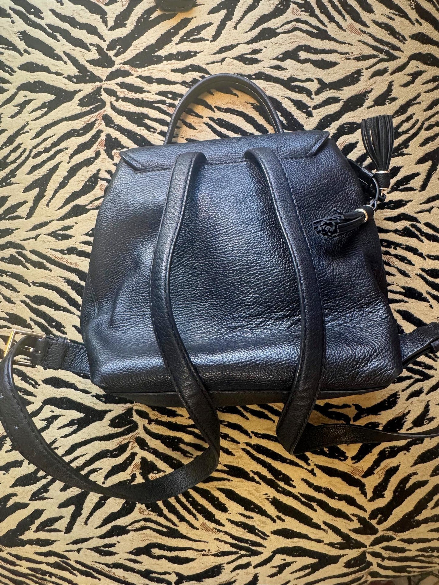 Celestial Atlas Backpack